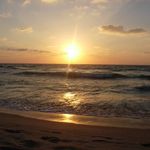 Lynn Lovesthe Beach - @charles.goins.963 - Instagram