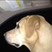 Charles Gosling - Facebook