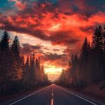 Charles Grenier - @charlesgrenier19 - Instagram