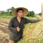 Charles A. Grover - @charlesgrovercharlesgrover - Instagram