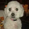 Charles Gurule936 - @charlesgurule936 - TikTok