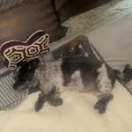Charles Hakim - @chuckeirut - Instagram