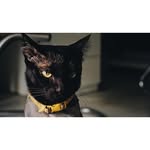 Charles Haney - @charleshaney572 - Instagram