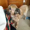 charlesharger841 - @charlesharger841 - TikTok
