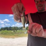 Charles Hargis - @hargischarles - Instagram