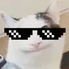 charleshargis81 - @charleshargis81 - TikTok