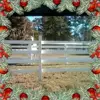 charleshatfield81 - @charleshatfield81 - TikTok