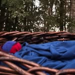 Odysseus Charles Dorhauer - @odysseus_charles_dorhauer - Instagram