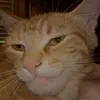 charles - @charles_dhaven10 - TikTok