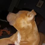 Charles Havens - @charleshavens7666 - Instagram