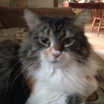 Charles Russell Heckman - @country_russell - Instagram