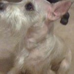 Charles Helm - @cwhelm67 - Instagram