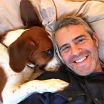 Charles Henrikson - @charleshenrik40 - Instagram