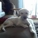Charlie Heppner - Facebook