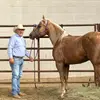 charleshernandez6632 - @charleshernandez6632 - TikTok