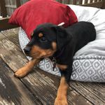 Charles Hester - @mia_hester_ - Instagram