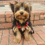 Charles Hester - @charles.hester.129w - Instagram
