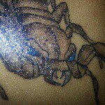 charles hinton - @sinblue - Instagram