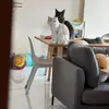 Charles Choo - @charles.choo - TikTok