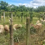Charles Hoag - @chas.hoag5 - Instagram