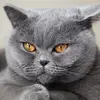 Charles_hoag - @charleshoagz - TikTok