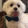 TinksyWinksy - @charles.hoagland - TikTok