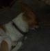 Charles Hoke - Facebook
