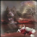 Charles Holbrook - @charles_holbrook - Instagram
