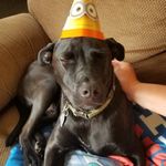 Everett Charles Holbrook - @everett.holbrook2019 - Instagram