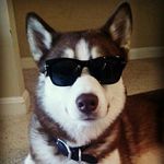 Charles Hon - @mrcharliemike - Instagram