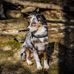 Charles C. Deam Wilderness - Hoosier National Forest - Facebook