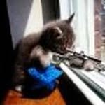 Charles R Houghton Jr - @charles.houghton - Instagram