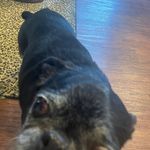 Charles - @charles.irvine - Instagram