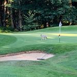 Charles Jarrett - @charlesjarrett35 - Instagram