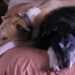 Charles Jeff Mullins - @charlesjeffmullins - Instagram
