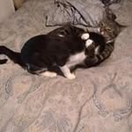 Charles Jeffries - @charlesjeffries3 - Instagram