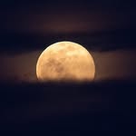 Charlie - @charles_jeffries_2 - Instagram