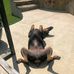 Charles Jonas - Facebook