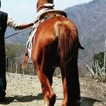 Juarez - @charles_juarez - Instagram