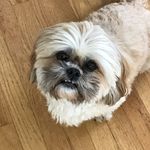 Charles Kaplan - @sir_charles_k - Instagram