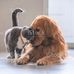 Charles Kelsey - Facebook