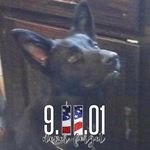 Charles Keppler - @kepplercharles - Instagram