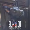 Charles Keppler - @charleskeppler4 - TikTok