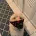 Charlie Keppler - Facebook