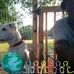 Charles Kimbrough - Facebook