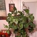 Charles Knott Knott - Facebook