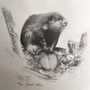 charlesknotts626 - @charlesknotts626 - TikTok