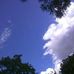 Charle Nodson - Facebook