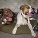 Charles Knuteson - Facebook
