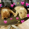 charlie - @charleskoopman - TikTok